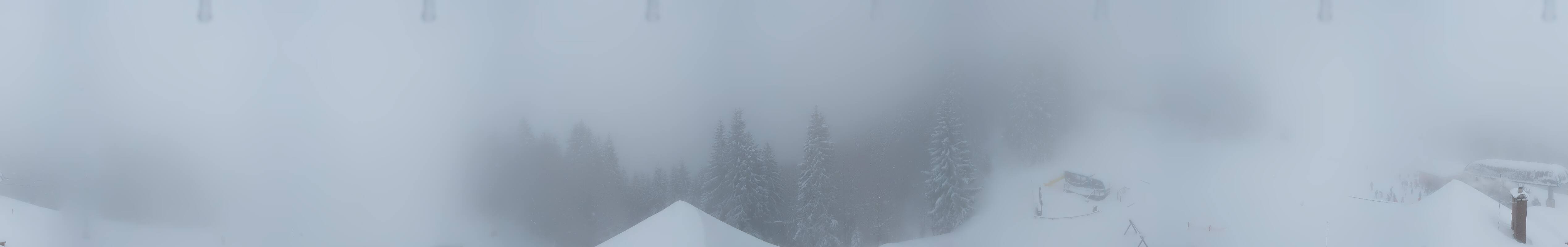 Archiv Foto Webcam Panoramablick Söllereck