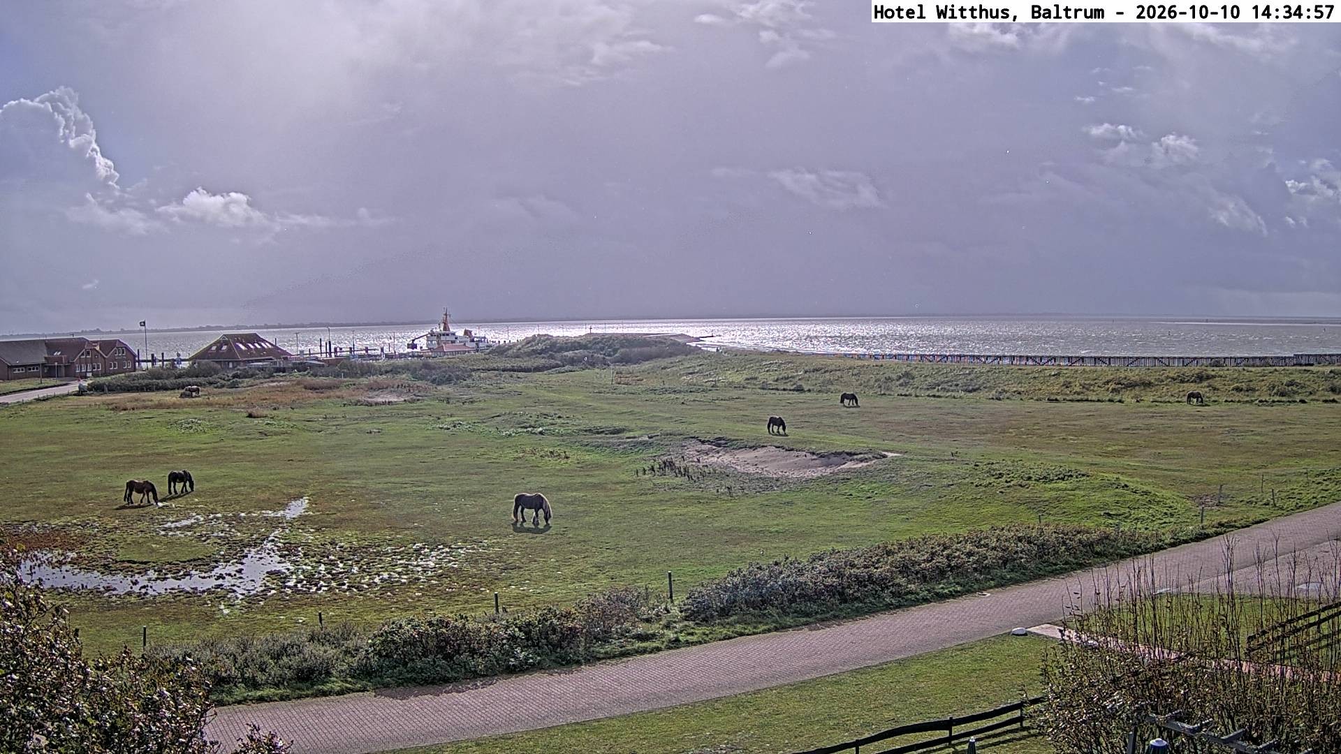 Archived image Webcam View of the harbour in Baltrum