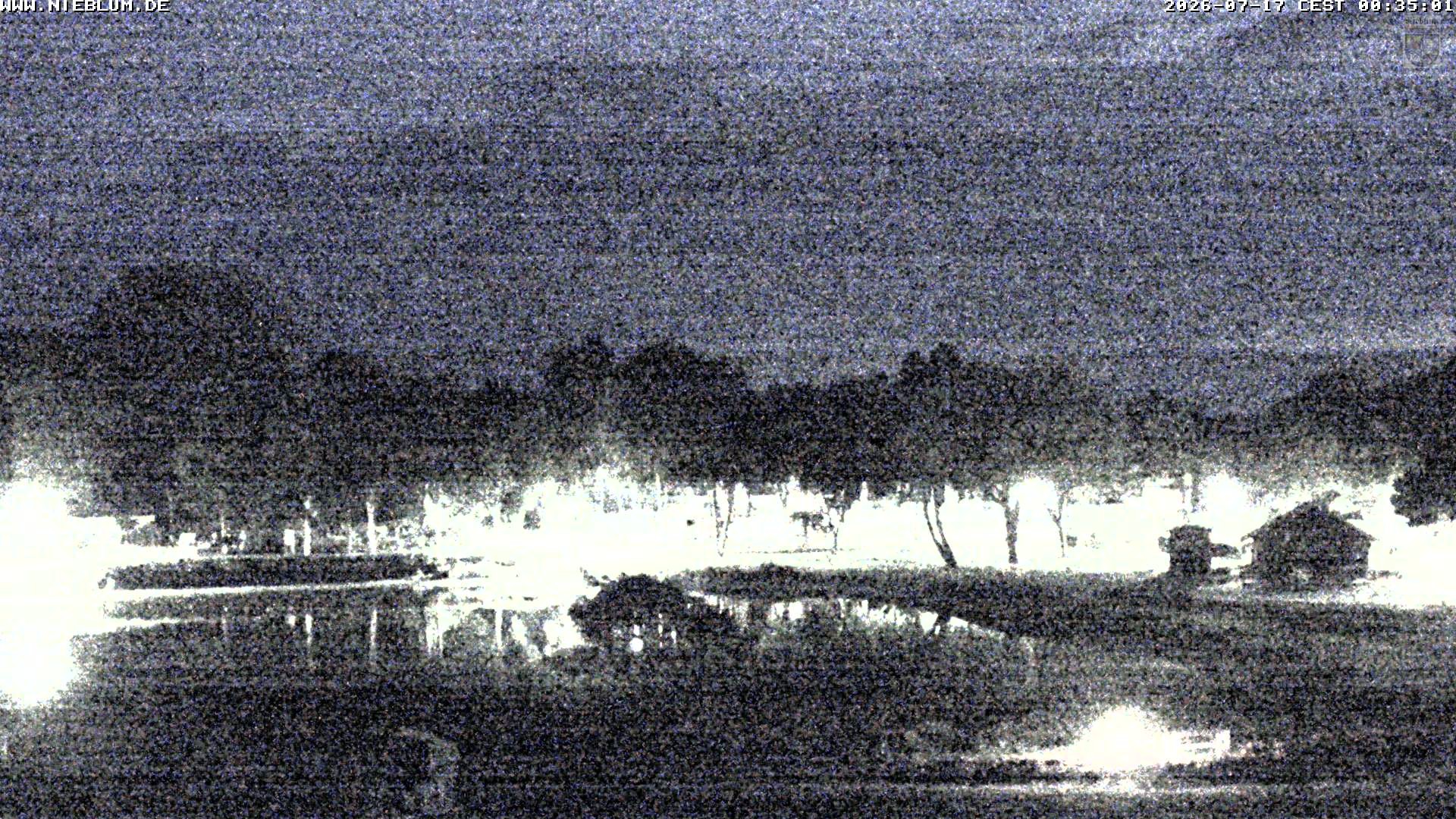 Archived image Webcam Nieblum - Park