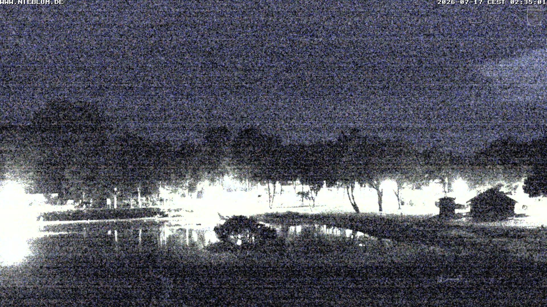 Archived image Webcam Nieblum - Park