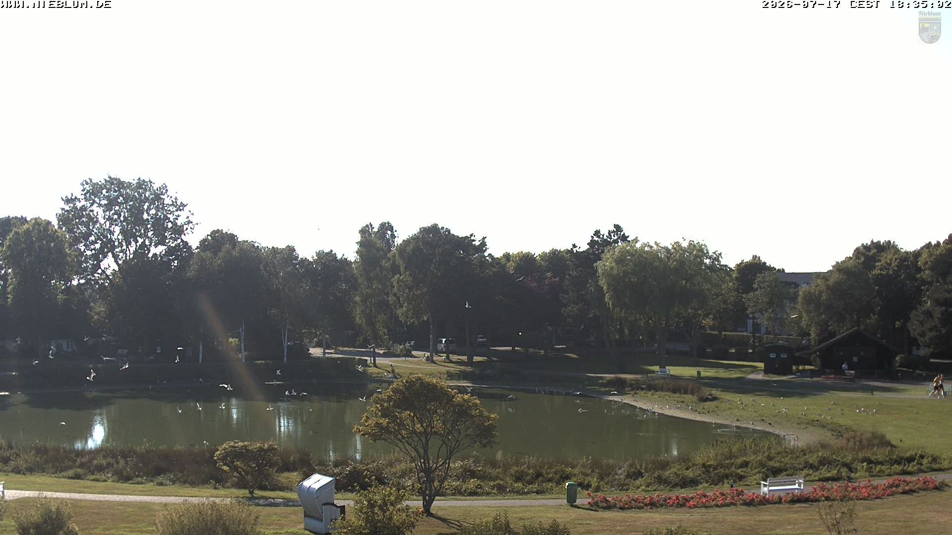 Archived image Webcam Nieblum - Park