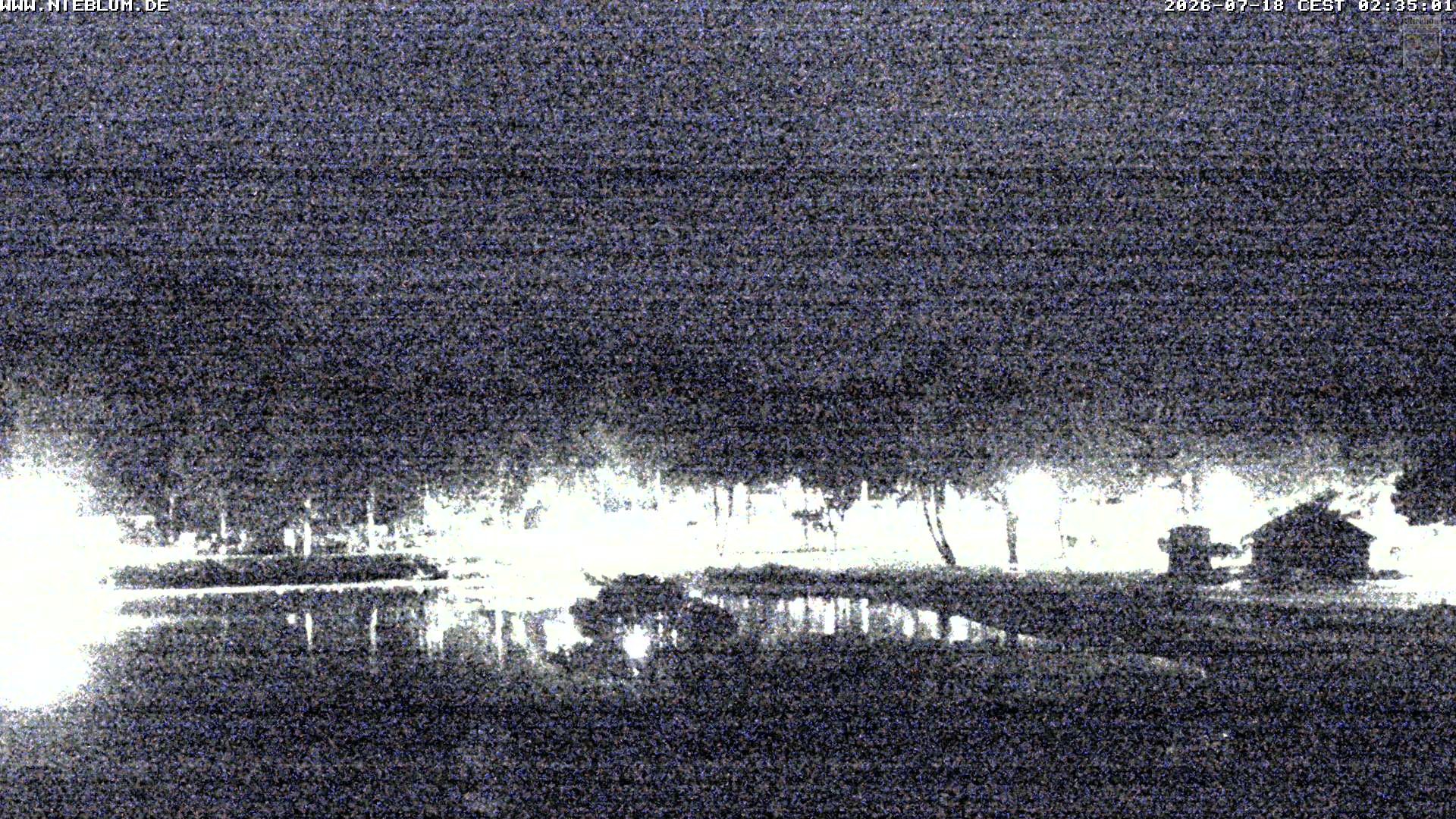 Archiv Foto Webcam Föhr: Nieblum Park An de Meere