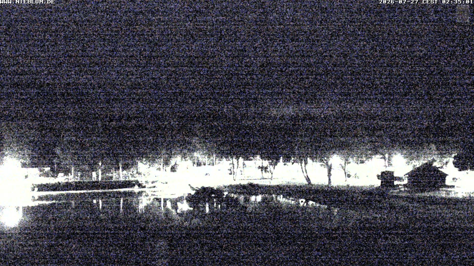 Archiv Foto Webcam Föhr: Nieblum Park An de Meere