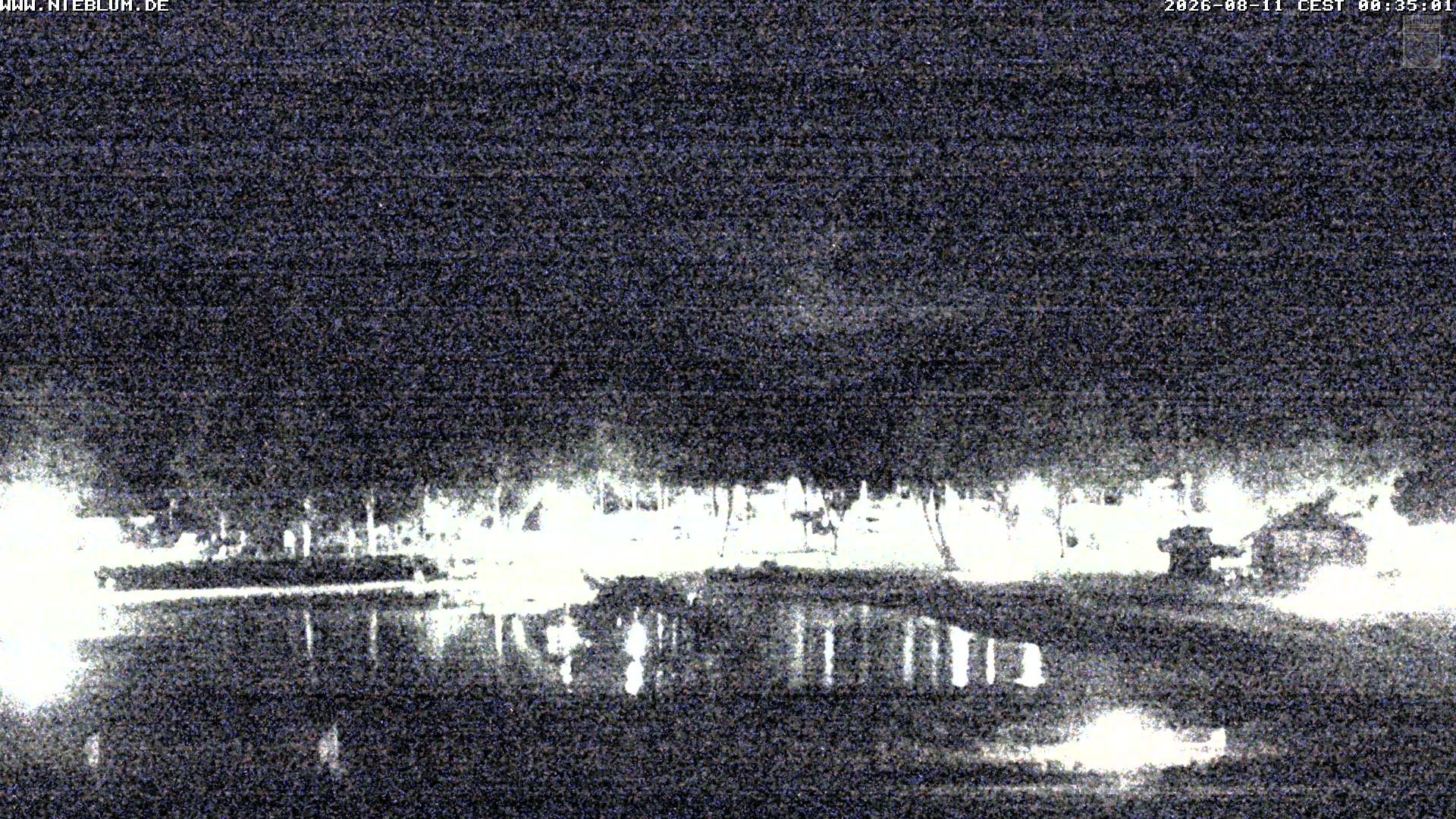 Archiv Foto Webcam Föhr: Nieblum Park An de Meere