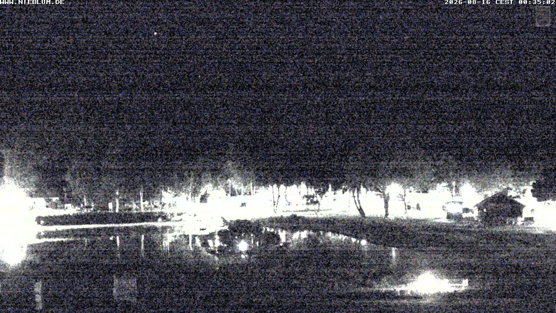 Archived image Webcam Nieblum - Park