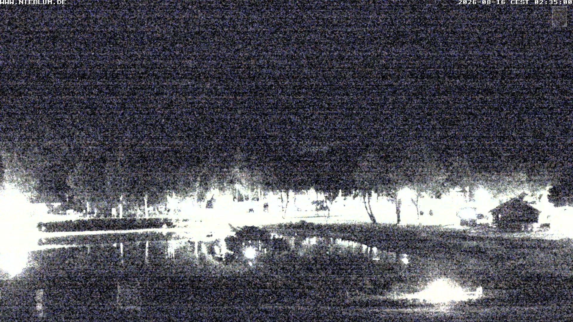 Archived image Webcam Nieblum - Park