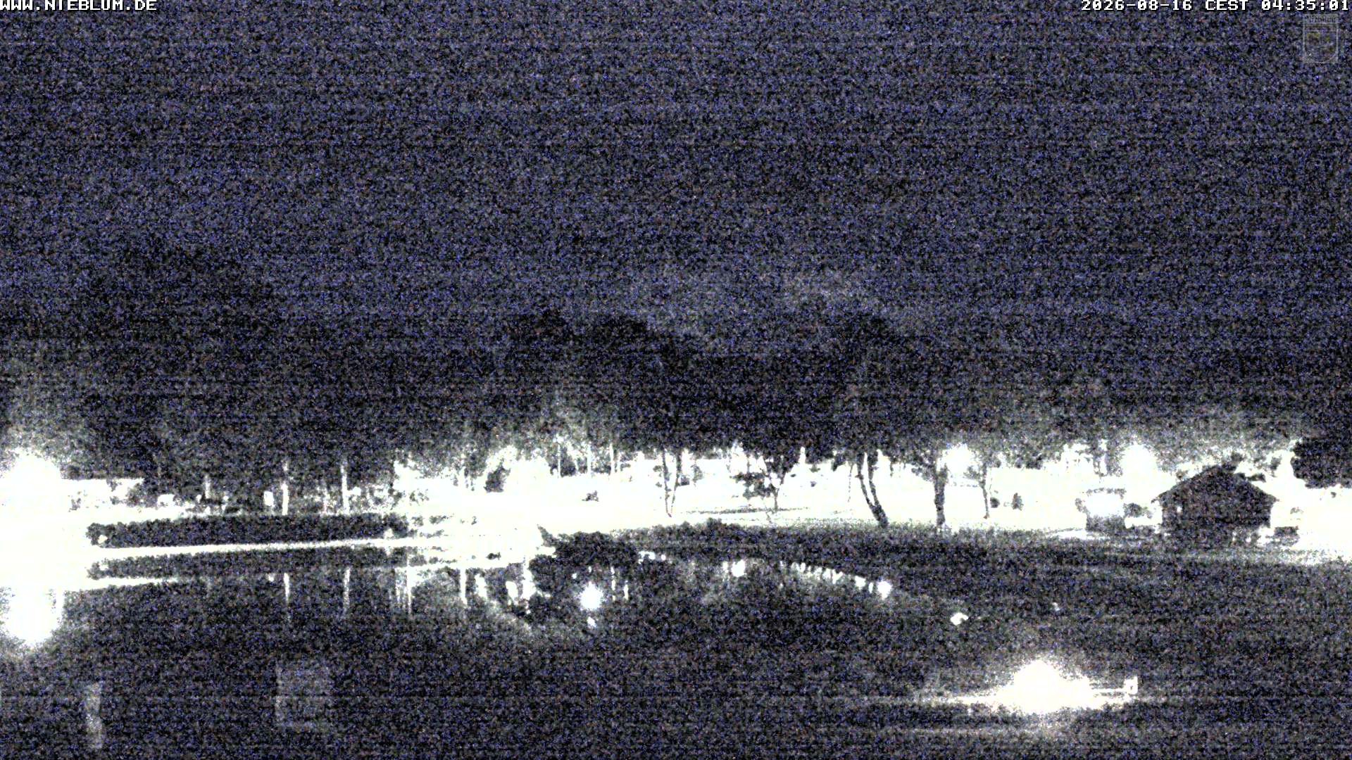 Archiv Foto Webcam Föhr: Nieblum Park An de Meere