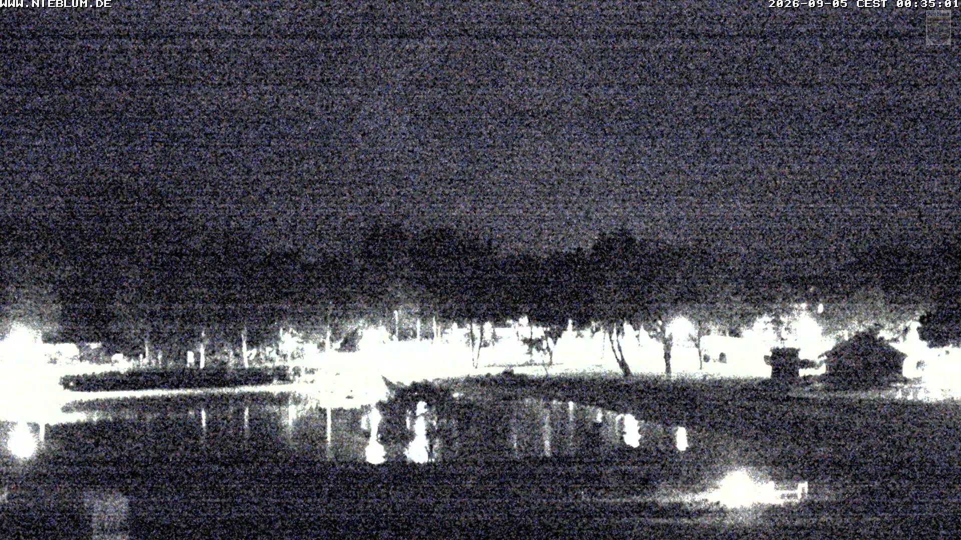 Archiv Foto Webcam Föhr: Nieblum Park An de Meere