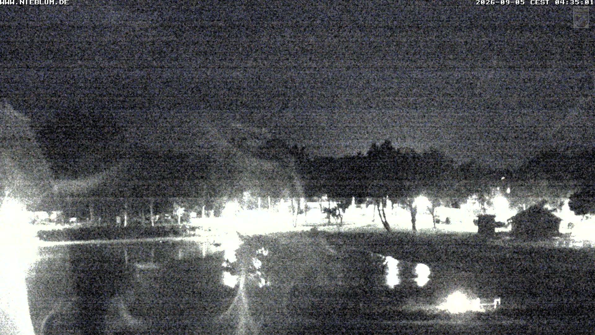 Archiv Foto Webcam Föhr: Nieblum Park An de Meere