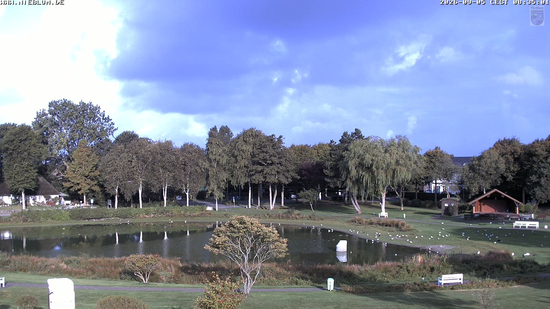 Archiv Foto Webcam Föhr: Nieblum Park An de Meere