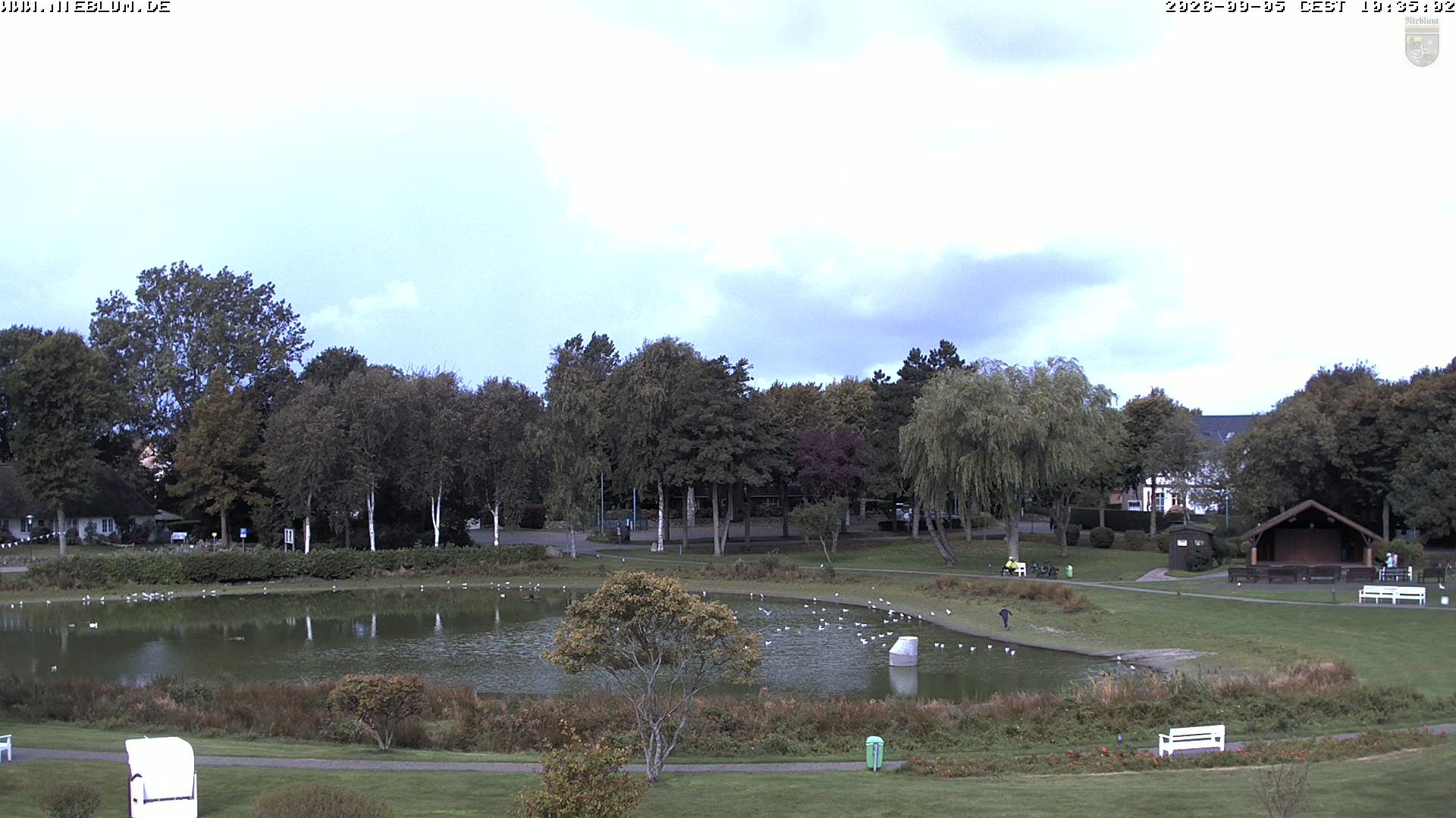 Archiv Foto Webcam Föhr: Nieblum Park An de Meere