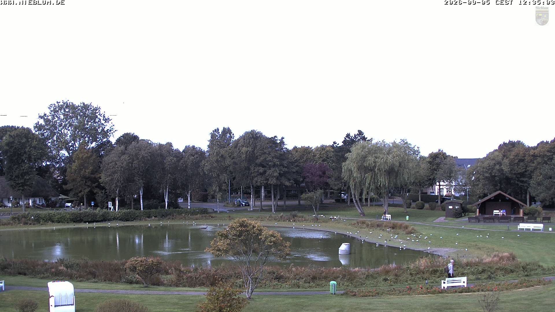 Archiv Foto Webcam Föhr: Nieblum Park An de Meere