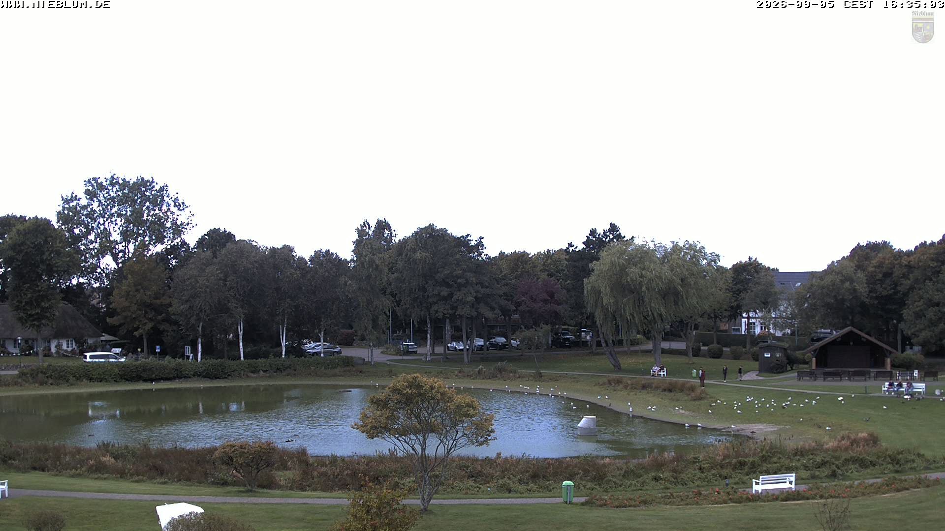 Archiv Foto Webcam Föhr: Nieblum Park An de Meere