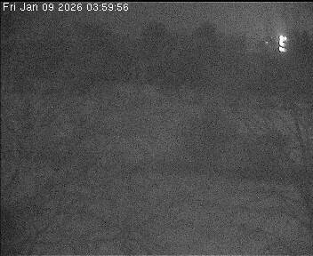 Archiv Foto Webcam Wrixum - Inselhotel Arfsten