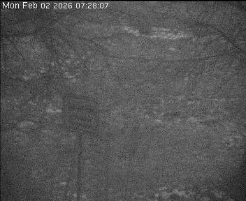 Archiv Foto Webcam Wrixum - Inselhotel Arfsten