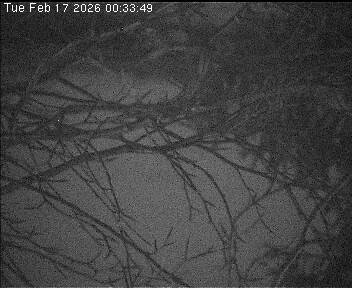 Archiv Foto Webcam Wrixum - Inselhotel Arfsten