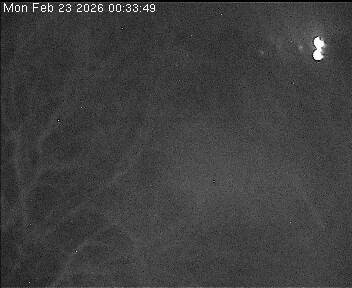 Archiv Foto Webcam Wrixum - Inselhotel Arfsten