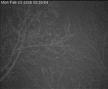 Archiv Foto Webcam Wrixum - Inselhotel Arfsten