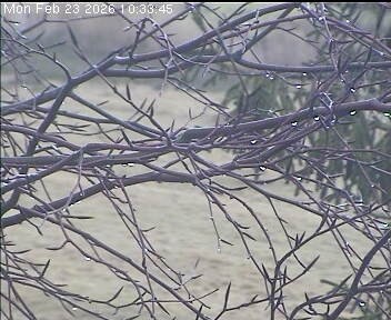 Archiv Foto Webcam Wrixum - Inselhotel Arfsten