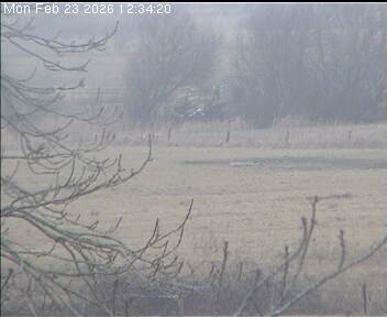 Archiv Foto Webcam Wrixum - Inselhotel Arfsten