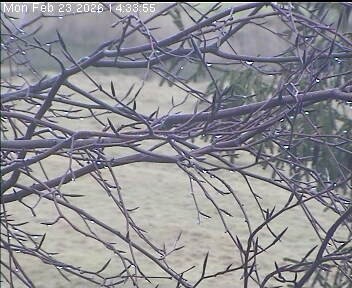 Archiv Foto Webcam Wrixum - Inselhotel Arfsten