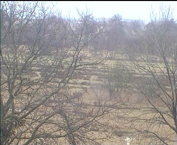 Archiv Foto Webcam Wrixum - Inselhotel Arfsten