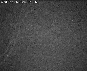 Archived image Webcam Wrixum - Panorama