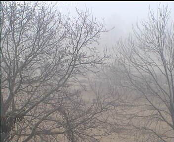 Archived image Webcam Wrixum - Panorama