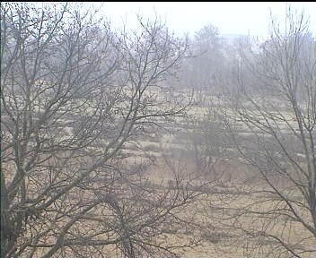 Archived image Webcam Wrixum - Panorama