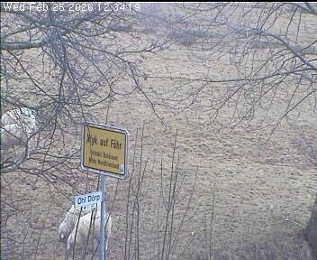 Archived image Webcam Wrixum - Panorama