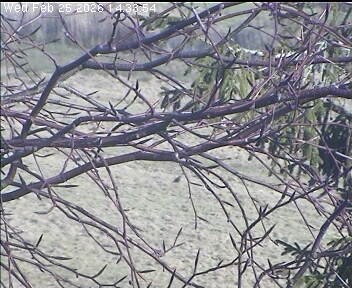 Archived image Webcam Wrixum - Panorama