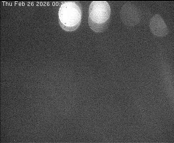 Archived image Webcam Wrixum - Panorama