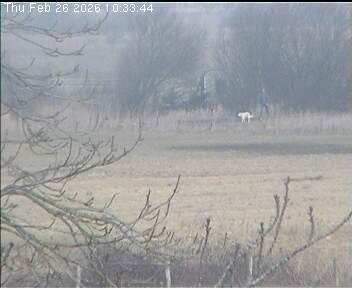 Archived image Webcam Wrixum - Panorama