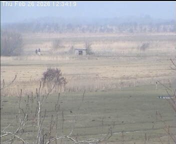 Archived image Webcam Wrixum - Panorama