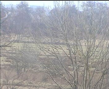 Archived image Webcam Wrixum - Panorama