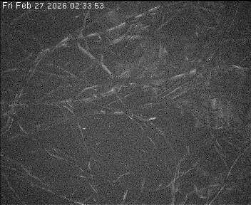 Archived image Webcam Wrixum - Panorama