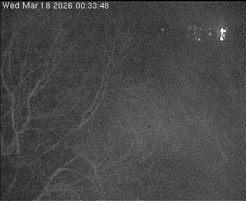 Archiv Foto Webcam Wrixum - Inselhotel Arfsten