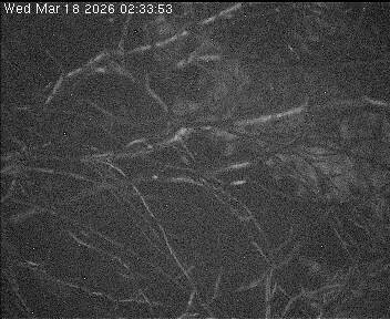 Archiv Foto Webcam Wrixum - Inselhotel Arfsten