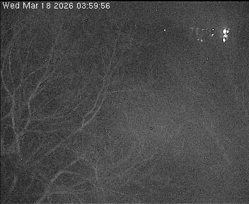 Archiv Foto Webcam Wrixum - Inselhotel Arfsten