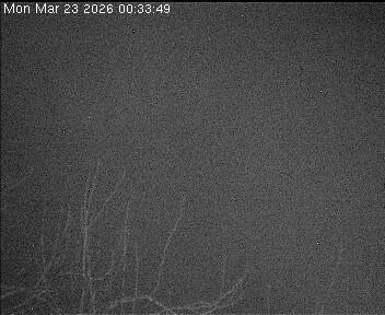 Archiv Foto Webcam Wrixum - Inselhotel Arfsten