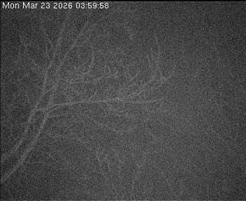 Archiv Foto Webcam Wrixum - Inselhotel Arfsten