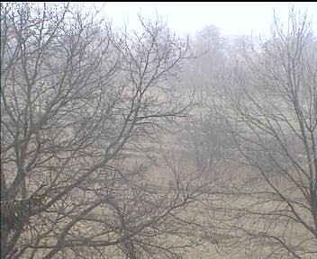 Archiv Foto Webcam Wrixum - Inselhotel Arfsten