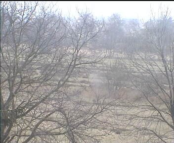 Archiv Foto Webcam Wrixum - Inselhotel Arfsten