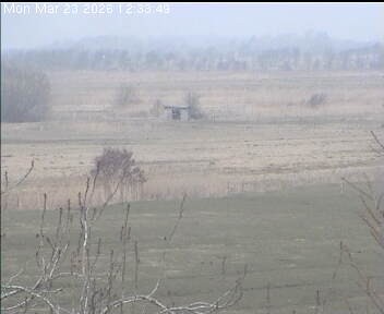 Archiv Foto Webcam Wrixum - Inselhotel Arfsten