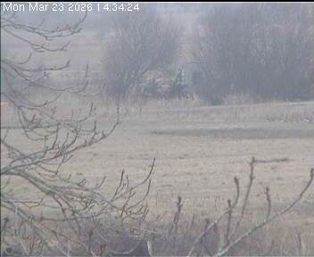 Archiv Foto Webcam Wrixum - Inselhotel Arfsten