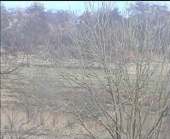 Archiv Foto Webcam Wrixum - Inselhotel Arfsten