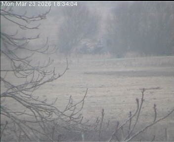 Archiv Foto Webcam Wrixum - Inselhotel Arfsten