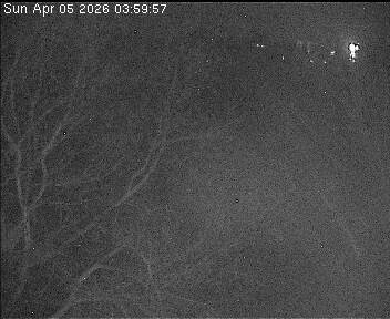 Archiv Foto Webcam Wrixum - Inselhotel Arfsten