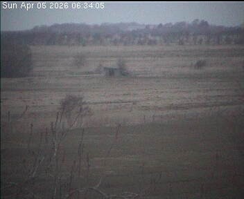 Archiv Foto Webcam Wrixum - Inselhotel Arfsten