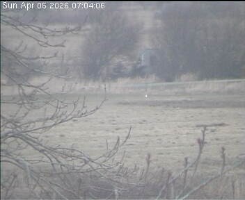 Archiv Foto Webcam Wrixum - Inselhotel Arfsten